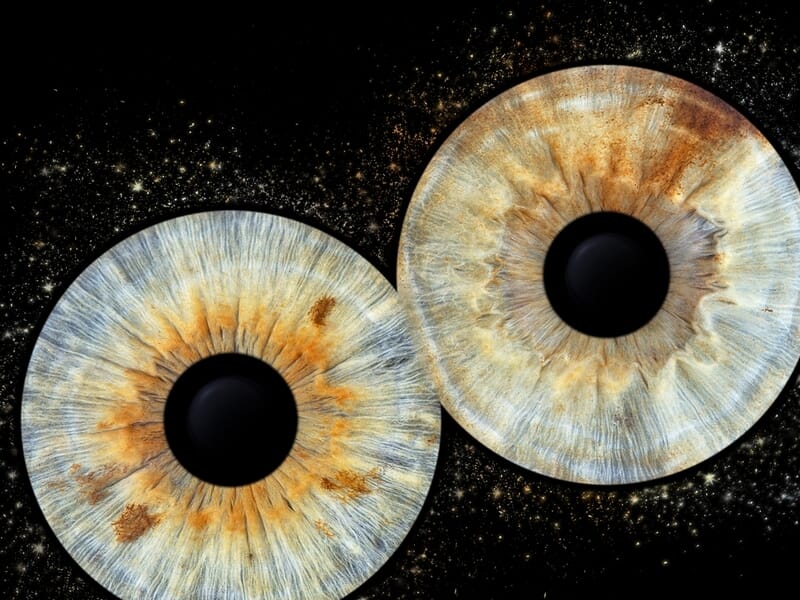 Gros plan artistique de deux iris aux couleurs mélangées bleu, orange et noir sur fond étoilé sombre.