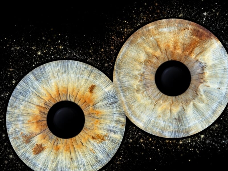 Gros plan artistique de deux iris aux couleurs mélangées bleu, orange et noir sur fond étoilé sombre.
