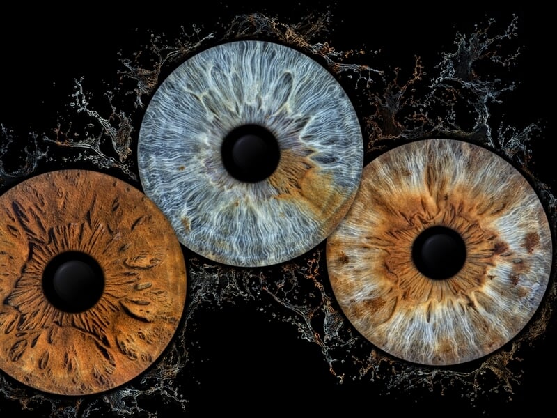 Trois iris colorés en gros plan, avec des nuances de bleu, orange et marron, sur fond noir avec éclaboussures.