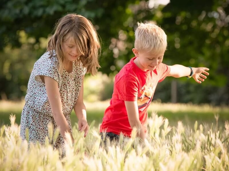 Une fille et un garçon jouent ensemble dans un champ de blé doré lors d'un shooting photo famille à Besançon.
