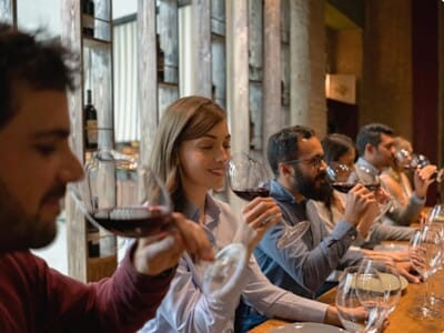 Cours d'Œnologie à Strasbourg