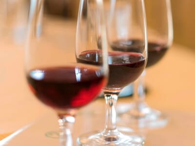 Cours d'Œnologie à Besançon