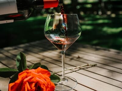 Cours d'Œnologie à Nîmes