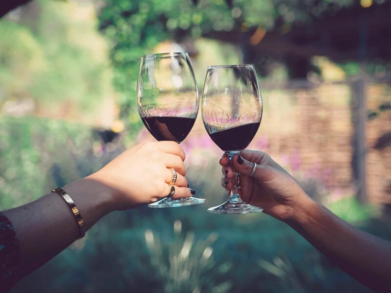 Deux mains tenant des verres de vin rouge en train de trinquer dans un jardin ensoleillé et verdoyant.