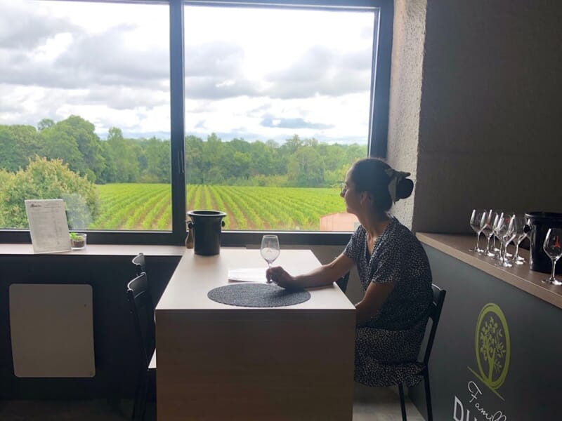 Femme assise à une table près d'une grande fenêtre donnant sur un vignoble verdoyant lors d'un cours d'oenologie près de Cholet.
