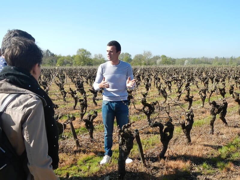 Homme expliquant quelque chose à un groupe dans un vignoble lors d'un cours d'oenologie près de Cholet.