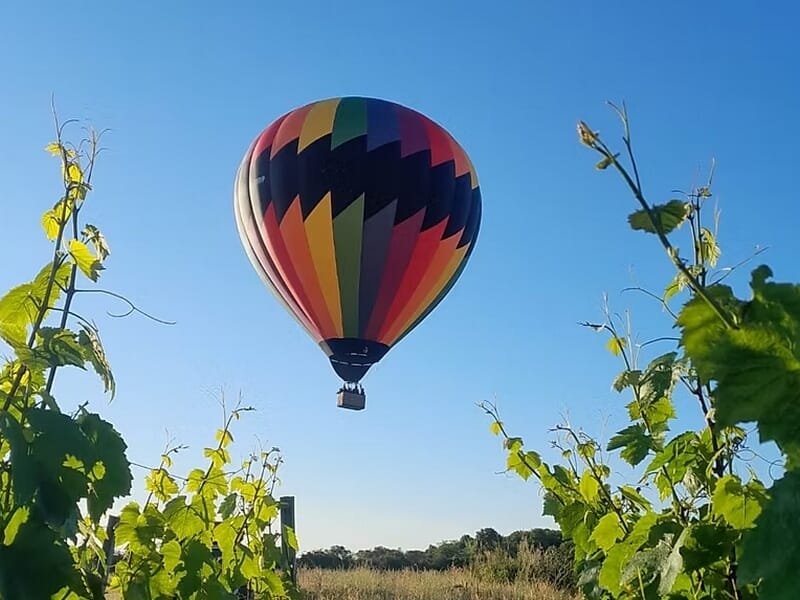 Montgolfière colorée survolant un vignoble avec des rangées de vignes sous un ciel bleu