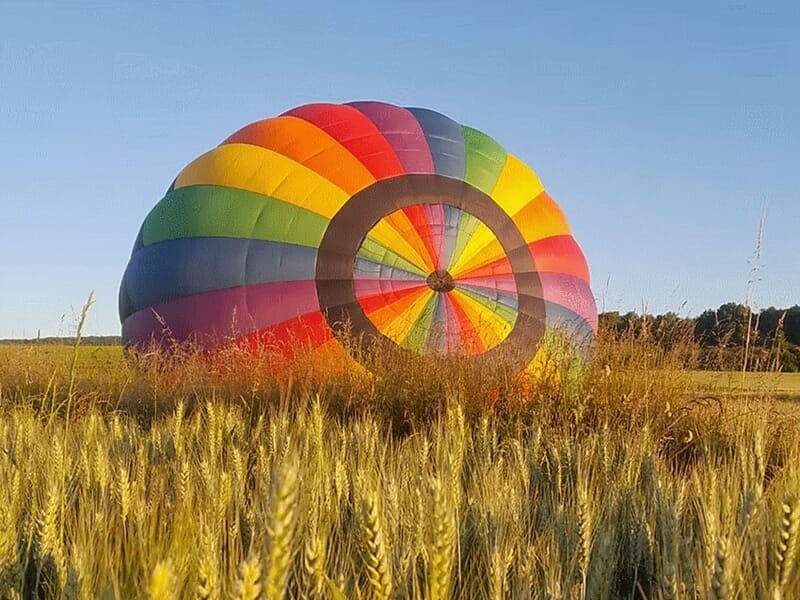 Montgolfière multicolore posée dans un champ de blé doré sous un ciel bleu clair au coucher du soleil.