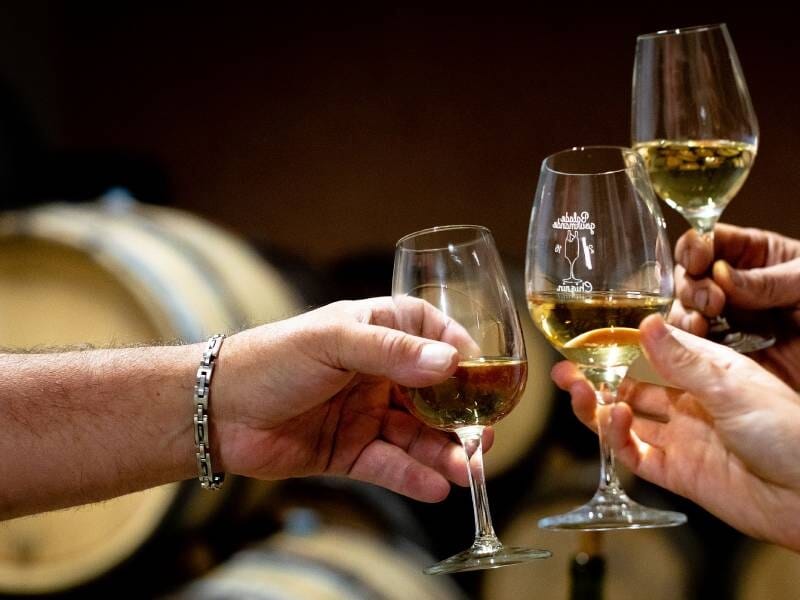 Trois mains trinquent avec des verres de vin blanc devant des barriques en bois dans une cave à vin.