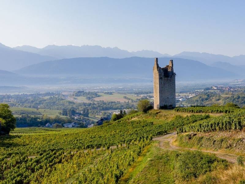 Tour médiévale en ruine au milieu des vignes avec des montagnes en arrière-plan sous un ciel clair, à découvrir lors d'un week-end œnologie près d'Aix-les-Bains.