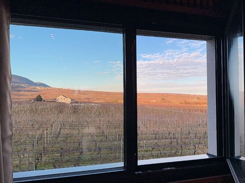 Vue à travers une fenêtre sur un paysage de vignes lors d'un week-end oenologie près de Colmar.