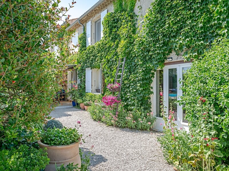 Façade d'une maison recouverte de lierre lors d'un week-end oenologie près de Châteauneuf-du-Pape.