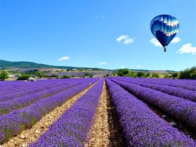 Vol en Montgolfière au-dessus de la Montagne de Lure