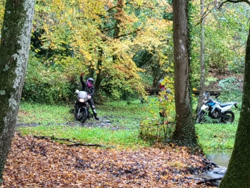 Deux motards en tenue complète traversent une zone boisée avec des motos tout-terrain sur un sol couvert de feuilles.