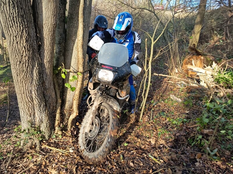 Motard en tenue bleue et blanche manœuvrant une moto tout-terrain entre des arbres dans un sentier forestier étroit.