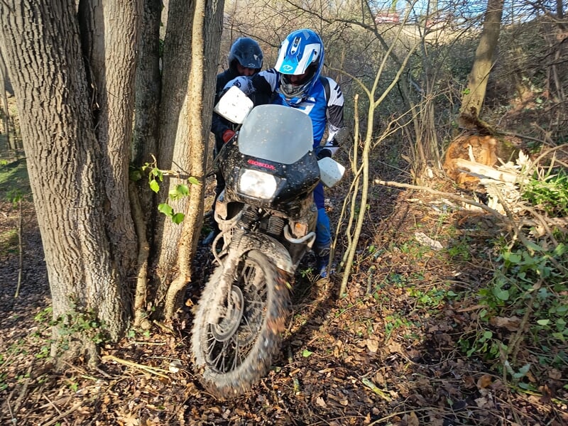 Motard en tenue bleue et blanche manœuvrant une moto tout-terrain entre des arbres dans un sentier forestier étroit.