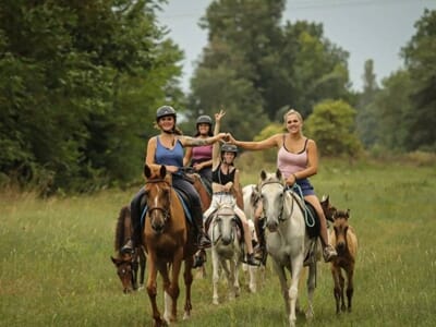 Balade à Cheval près de Vichy