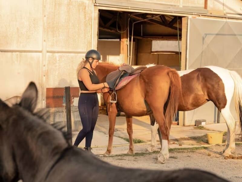 Jeune femme en tenue d'équitation préparant un cheval marron près d'une écurie sous une lumière dorée.