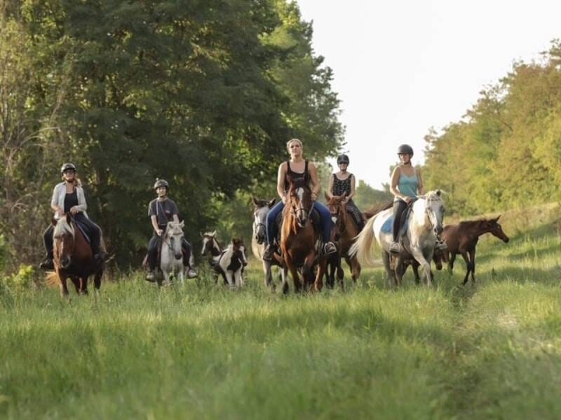 Cavaliers en balade à cheval dans un sentier herbeux bordé d'arbres verts sous un ciel clair.
