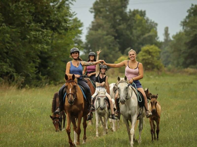 Quatre cavalières souriantes chevauchant sur un chemin herbeux avec des chevaux et un poney au milieu des arbres lors d'une balade près de Vichy.