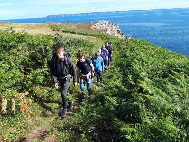Groupe de personnes marchant en file sur un sentier entouré de fougères avec vue sur la mer et les falaises.