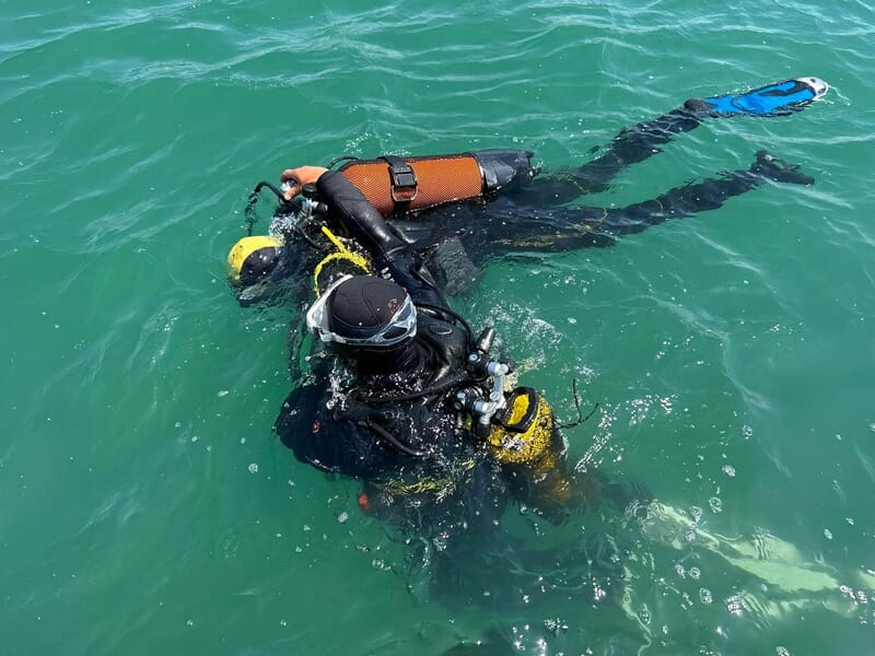 Plongeurs en combinaison noire avec bouteilles d'air sous l'eau claire, explorant les fonds marins de Noirmoutier.