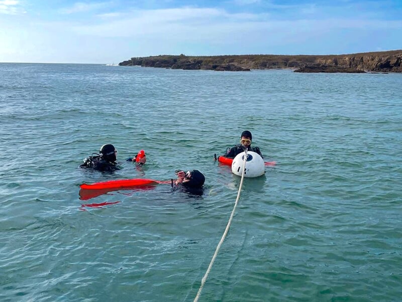 Trois plongeurs en combinaison noire flottent à la surface, attachés à une bouée rouge avec un paysage côtier.