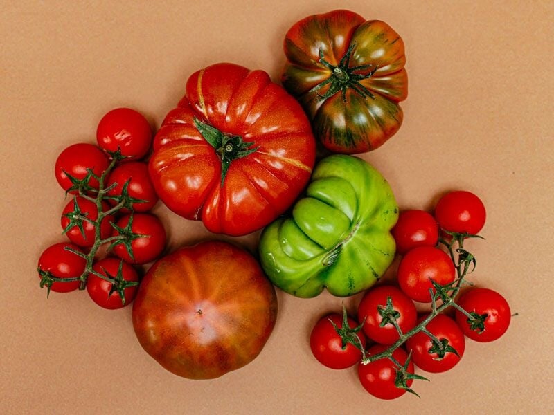 Différentes variétés de tomates colorées, rouges, vertes et brunes, posées sur une surface beige.