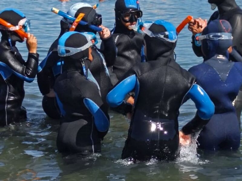 Groupe de personnes en combinaison de plongée noire et bleue, équipées de masques et tubas, dans l'eau peu profonde.