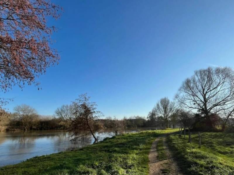 Chemin de terre longeant une rivière sous un ciel bleu clair avec des arbres dénudés en hiver