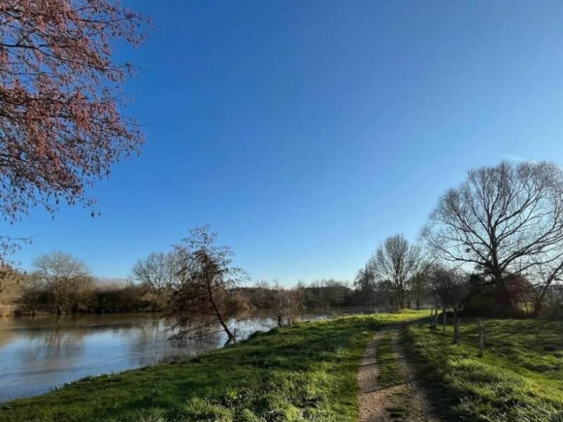 Chemin de terre longeant une rivière sous un ciel bleu clair avec des arbres dénudés en hiver