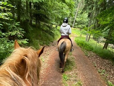 avis Balade à Cheval près de Saint-Dié-des-Vosges