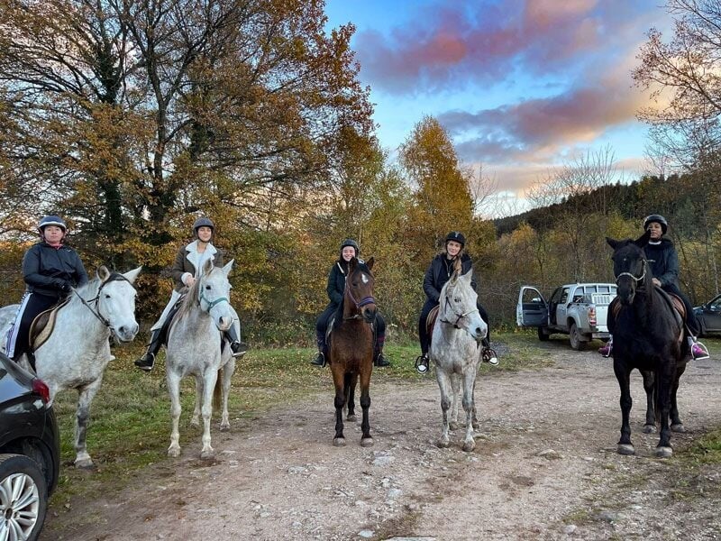 Cinq cavaliers sur des chevaux de différentes couleurs posant sur un chemin en forêt en automne.