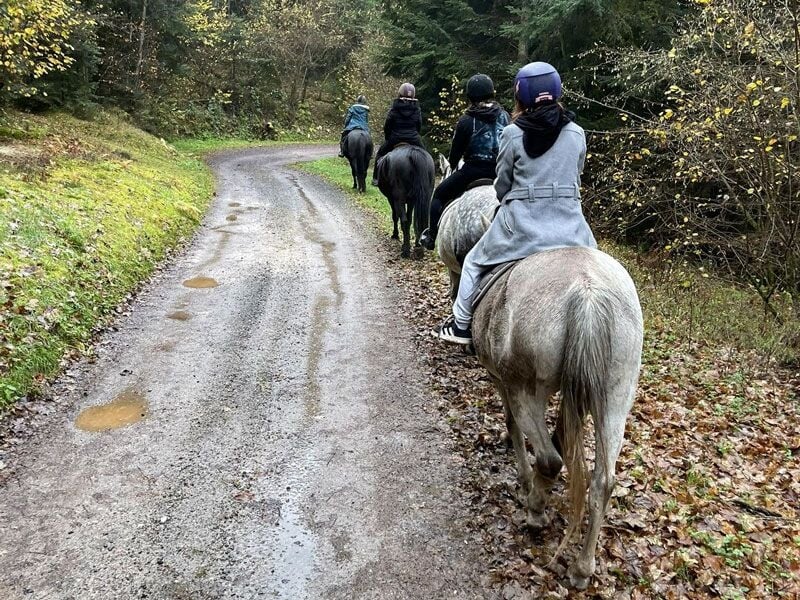 Groupe de cavaliers montant à cheval sur un chemin de terre entouré d'arbres verts et feuilles tombées.