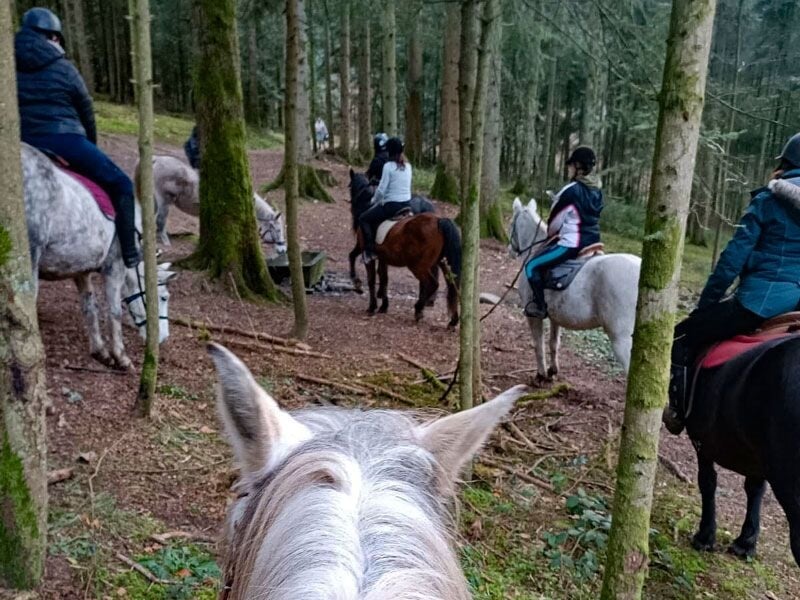 Vue depuis un cheval sur un groupe de cavaliers traversant une forêt dense aux arbres hauts.