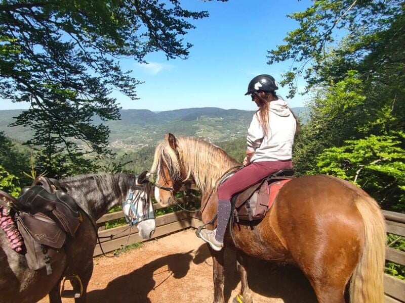 Cavalière sur un cheval marron regardant un paysage vallonné sous un ciel bleu clair.