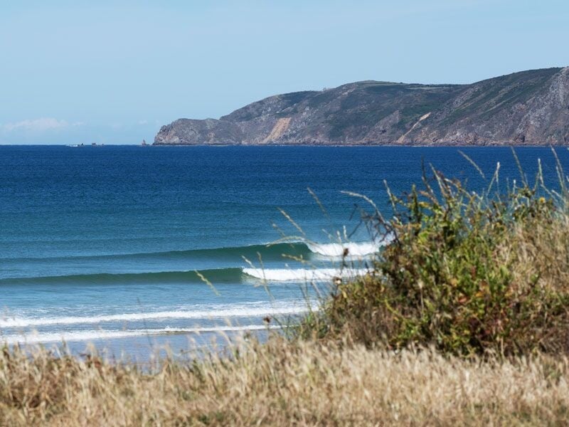 Vue sur l'océan avec des vagues régulières, des herbes sauvages au premier plan et des falaises en arrière-plan.