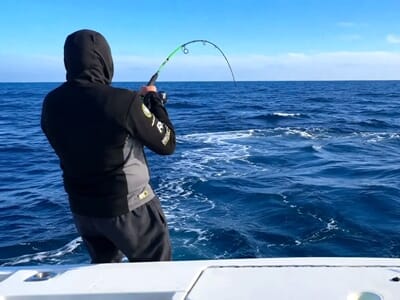 Pêche en Mer à Fos-sur-Mer