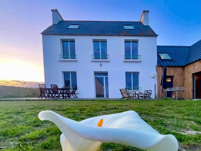 Maison blanche à plusieurs étages avec jardin, terrasse et une grande fleur blanche au premier plan.