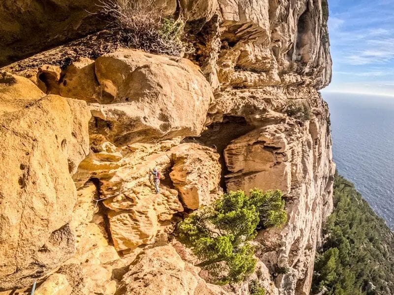 Escaladeur progressant sur une falaise jaune ocre avec des arbres et la mer en arrière-plan sous un ciel clair.