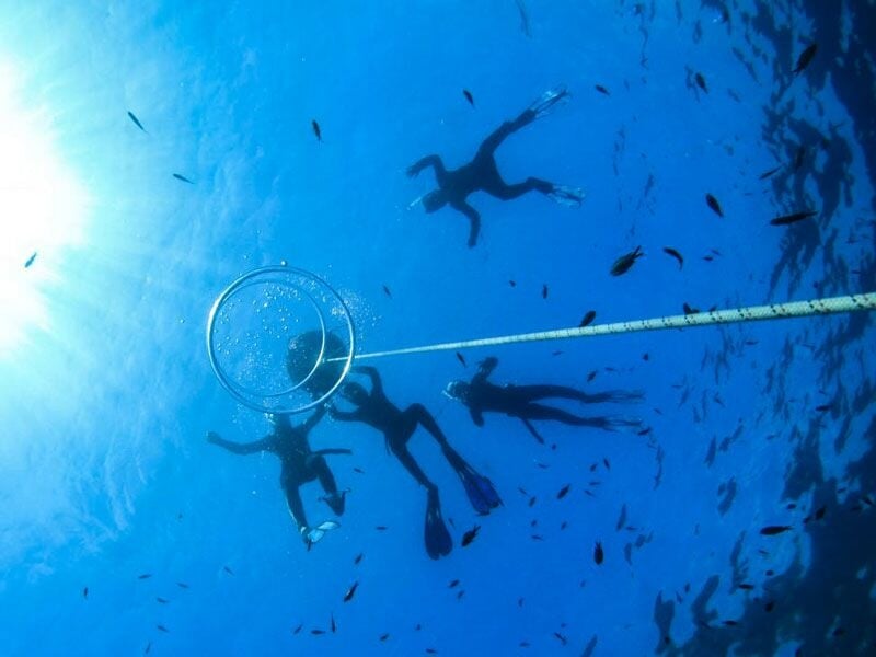 Groupe de plongeurs vus de dessous, flottant près d'un cercle en métal sous la surface de l'eau bleue.