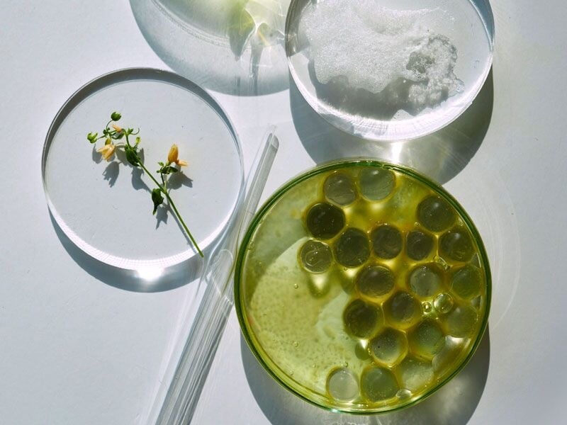Composition de produits naturels et ingrédients pour soins de beauté sur fond blanc lumineux.