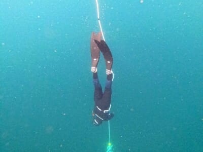 avis Plongée en Apnée à l'Île de Groix