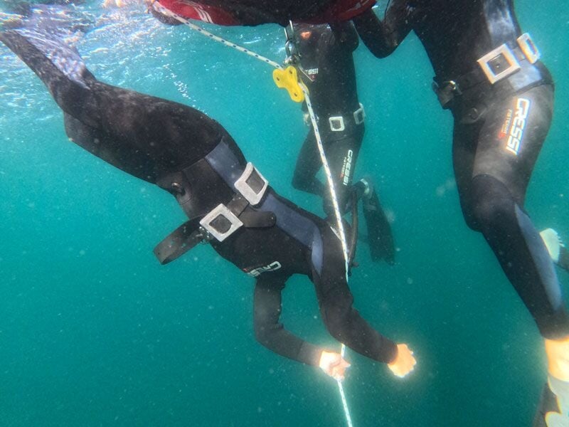 Plongeurs en combinaison noire sous l'eau, tenant une corde pour descendre dans la mer à Groix.