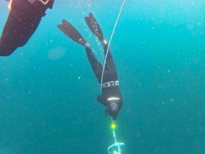 Plongeur en combinaison noire descendant sous l'eau en tenant une corde avec un dispositif lumineux au bout.