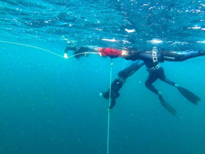 Trois plongeurs en combinaison noire sous l'eau, tenant une bouée rouge et une corde pour s'orienter.