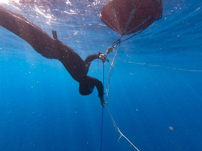 Plongeur en combinaison noire descend le long d'une corde attachée à une bouée rouge flottante en mer.