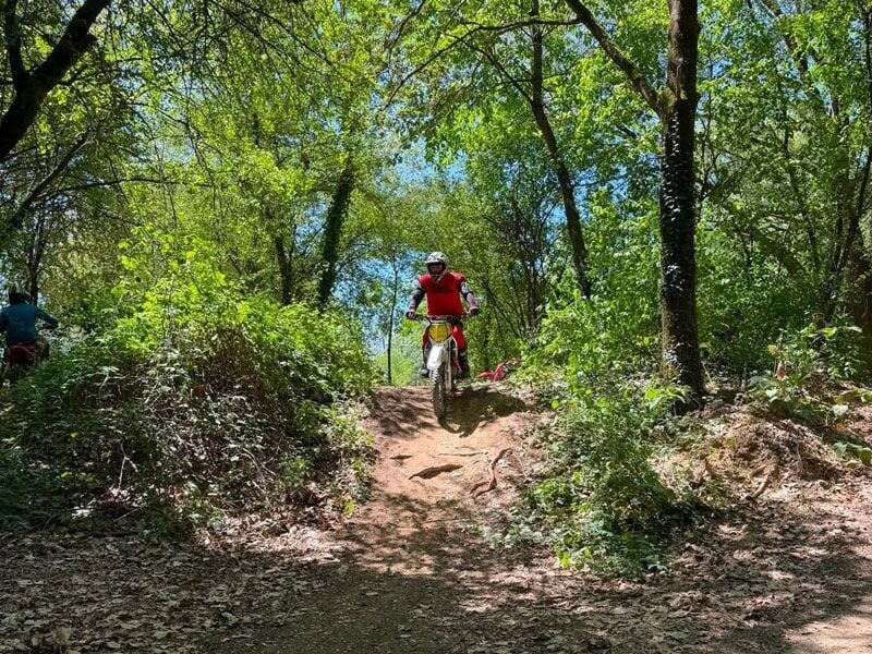 Pilote en gilet rouge descendant une pente boisée sur une moto tout-terrain blanche dans un environnement naturel verdoyant.