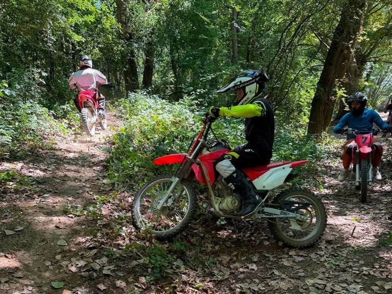 Trois motards en tenue de protection roulant sur un chemin forestier étroit avec des arbres et des buissons autour.