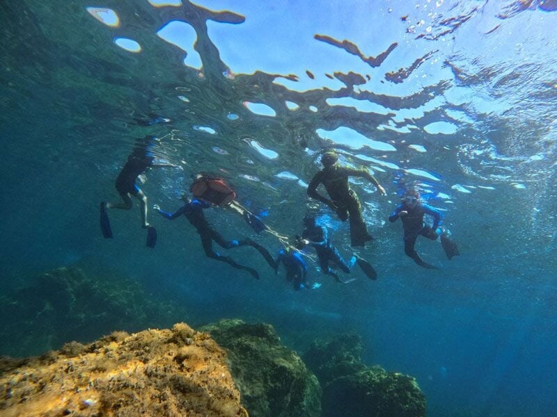 Groupe de plongeurs en combinaison nageant sous l'eau claire au-dessus de rochers dans la mer.